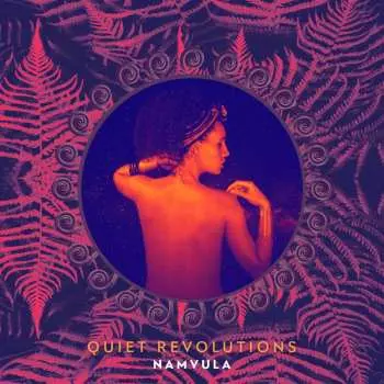 CD Namvula: Quiet Revolutions