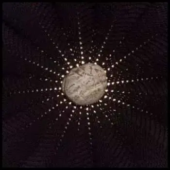 LP Nat Baldwin: In The Hollows