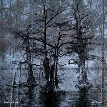 LP Nathan Bowles: Nansemond