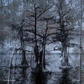 CD Nathan Bowles: Nansemond