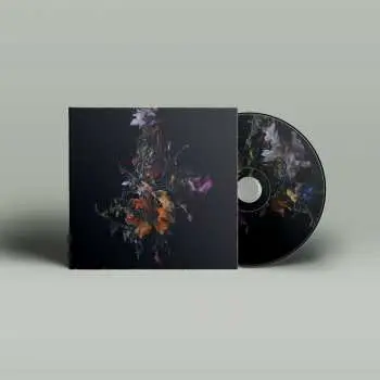 CD Big Brave: Nature Morte