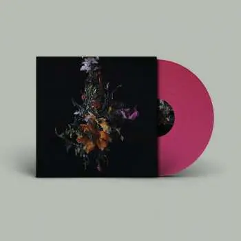 LP Big Brave: Nature Morte