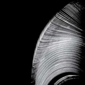 LP Near The Parenthesis: Helical   CLR | LTD