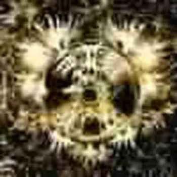CD NeBeLNeST: NoVa eXPReSS