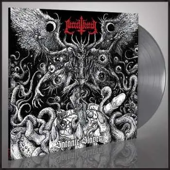 LP Necrowretch: Satanic Slavery LTD | CLR