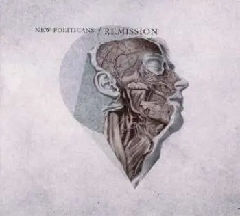 CD New Politicians: Remission LTD