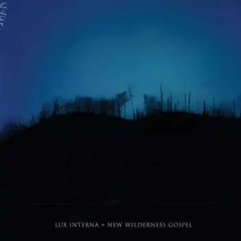 2CD: New Wilderness Gospel