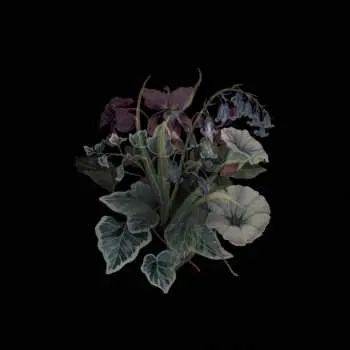 2LP Nhor: Wildflowers LTD
