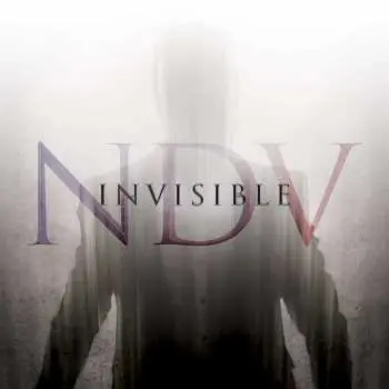 CD Nick D'Virgilio: Invisible