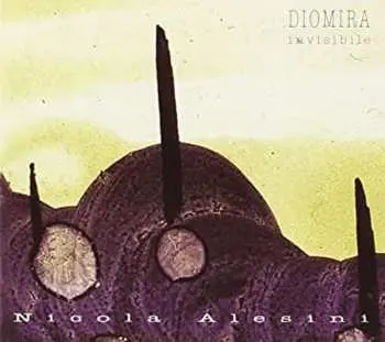 CD Nicola Alesini: Diomira Invisibile