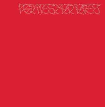 2LP Nicolas Jaar: Pomegranates