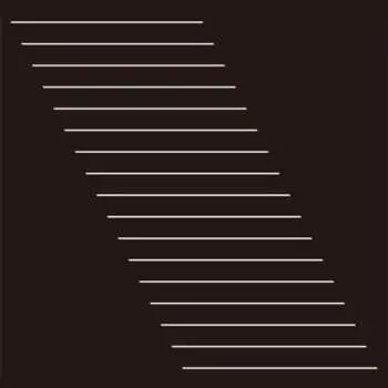 LP Nisennenmondai: N' LTD