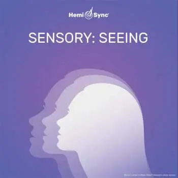 CD No Artist: Sensory: Seeing