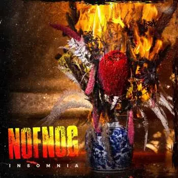LP Nofnog: Insomnia CLR