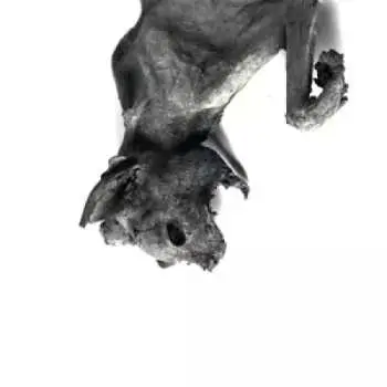 CD Henrik Nordvargr Björkk: Metempsychosis LTD