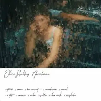 LP/CD Oliver Spalding: Novemberism CLR