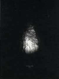 CD Nucleus Torn: Knell