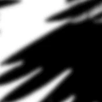 LP N/UM: Ravens