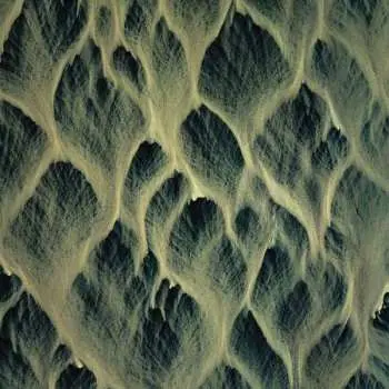 SP Ólafur Arnalds: Oceans LTD