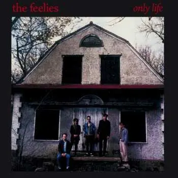 CD The Feelies: Only Life