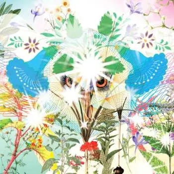 CD OOIOO: Gamel