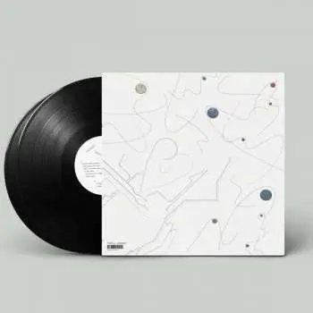 2LP OOIOO: Nijimusi LTD | CLR