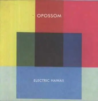 LP Opossom: Electric Hawaii