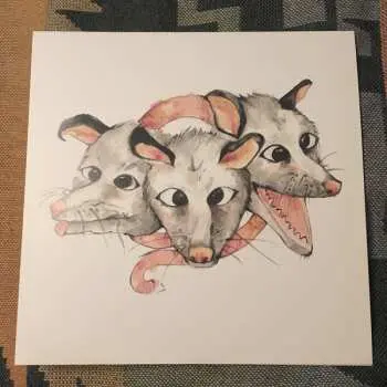 LP Opossums: Opossums