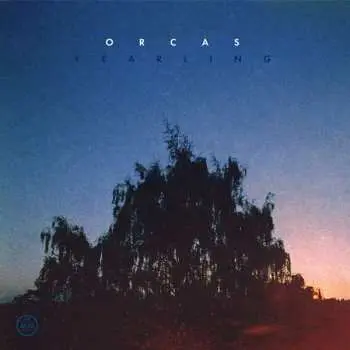 CD Orcas: Yearling