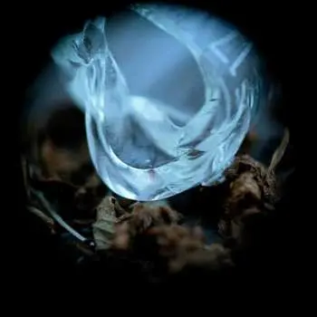 CD Ossicles: Mantelpiece