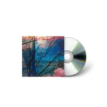 CD OutKast: Idlewild
