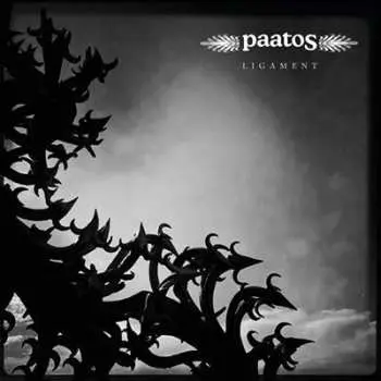 LP Paatos: Ligament