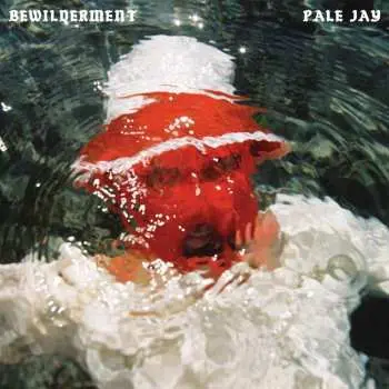 LP Pale Jay: Bewilderment