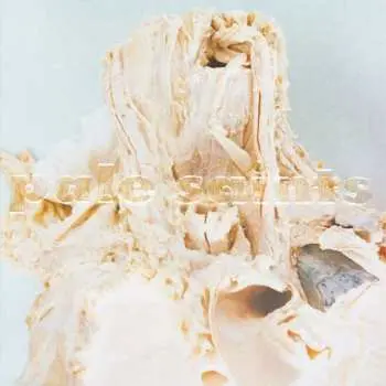 LP Pale Saints: In Ribbons