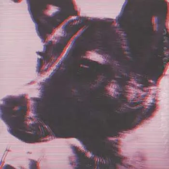 LP Robert Panthera Krause: Laika