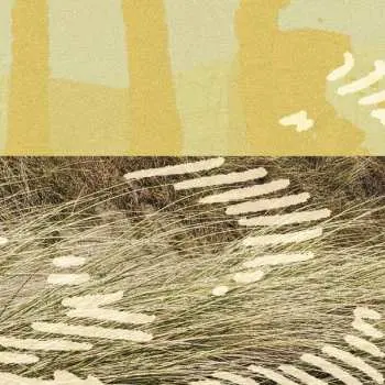 LP Parris: Terrapin EP