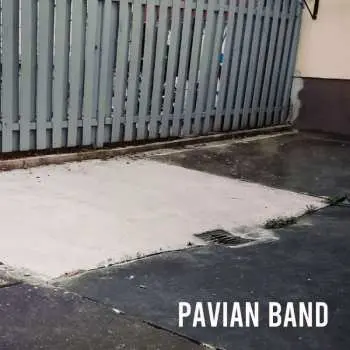 CD Pavian Band: Pavian Band
