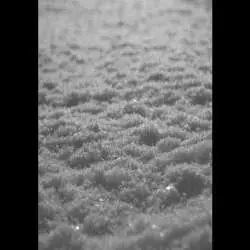 2LP Paysage D'Hiver: Schnee