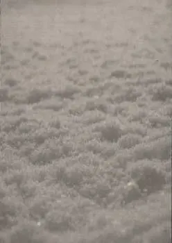 CD Paysage D'Hiver: Schnee