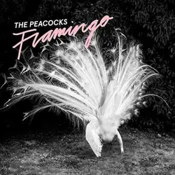 CD Peacocks: Flamingo