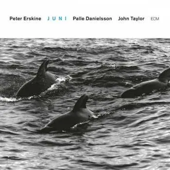 CD Peter Erskine: Juni
