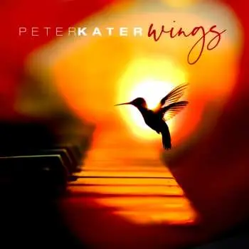 CD Peter Kater: Wings