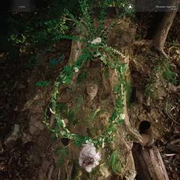 LP Pharmakon: Maggot Mass CLR | LTD