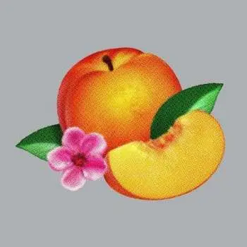 LP Phoenix: Bankrupt!