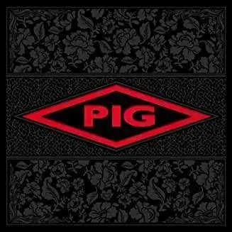 CD Pig: Candy DIGI