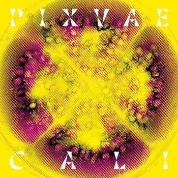 LP Pixvae: Cali