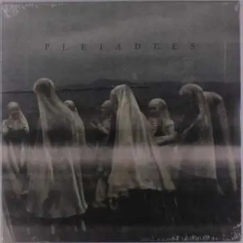 LP Pleiadees: Pleiadees LTD