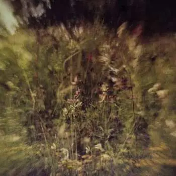 SP Pluralone: 7-wile/remembered