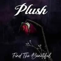 CD Plush: Find The Beautiful