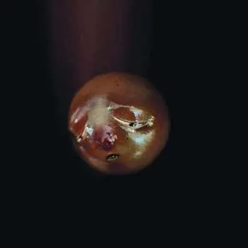 LP Poolblood: Mole LTD | CLR